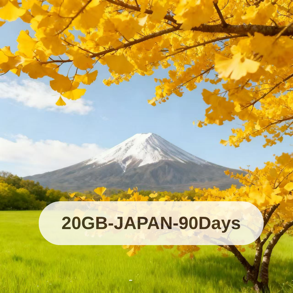 20GB-Japan-90 Days