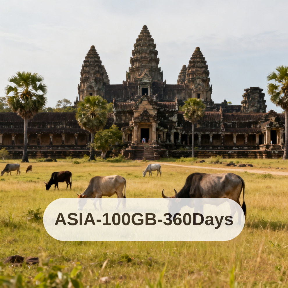 Asia-100GB/360days