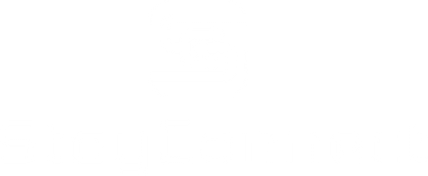 Skylink WiFi